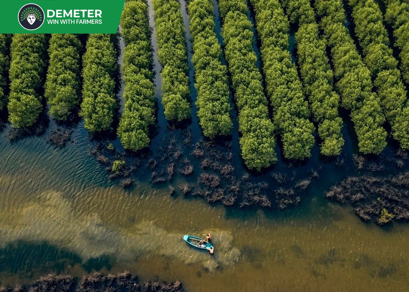 Anh dai dien tin tuc